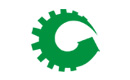 Biomass Gasification Power Plant