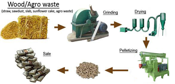 turn waste into biomass energy